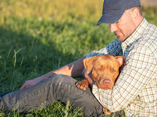 Cute dog and attractive man sitting in a meadow on a clear sunny day. Closeup, outdoor. Day light....