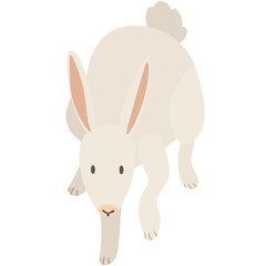 Cute bunny isolated  illustration of a white playful rabbit on white backgroud. Fun character for easter cards or background elements. Hare slowly going down or jumping.