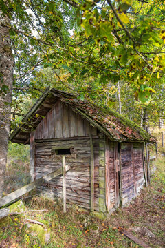 Idyllic old shed in pasture