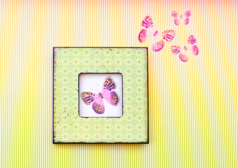 Butterfly in the frame.
