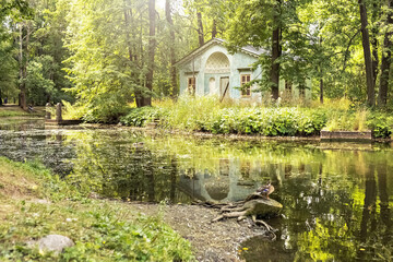 The river bank in an old estate. Summer Park.The beauty of nature