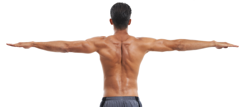 Body, arms and back for fitness with a man isolated on a transparent background during a workout. Exercise, training and stretching with a sports athlete on PNG for muscle health or wellness