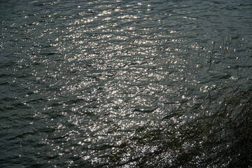 Sun reflecting in water surface