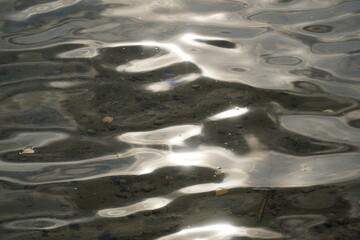 Sun reflecting in water surface