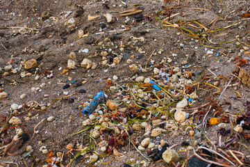 Hidden Microplastics An Alarming Portrait of Our Beach