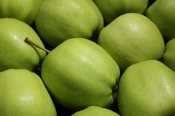 Fresh green apples with water drops as background, closeup