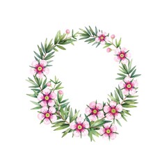 Manuka wreath. Branches with leaves and flowers. Hand drawn watercolor illustration, isolated on white background.