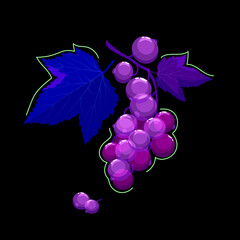 A branch of ripe red or black currant with transparency in fantastic colors on a black background. Design element for abstract background, wallpaper, textile, fabric, wrapping paper