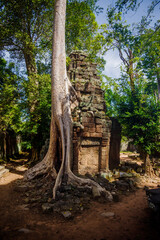 Tetrameles nudiflora engloutissant un bâtiment du Ta Prohm  