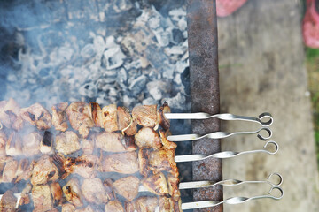 Delicious and juicy barbecue fried on coals in nature during a picnic. High quality photo