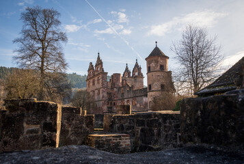 Hirsau Abbey, formerly known as Hirschau Abbey in the Black Forest of Germany