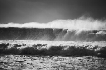 WIld Waves in Black and White