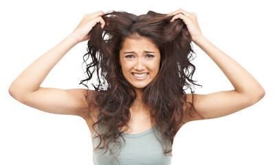 Hair care, crazy and portrait of young woman with frizzy, ugly and curly hairstyle for salon treatment. Upset, frustration and female model with messy hair isolated by a transparent png background. - obrazy, fototapety, plakaty