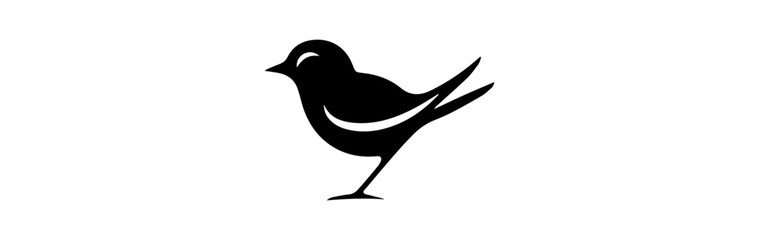 Bird isolated on white