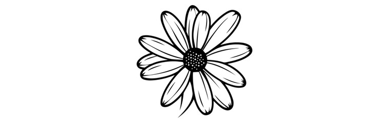 lily of the valley isolated on white background