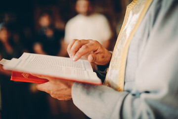 Obraz premium read a book