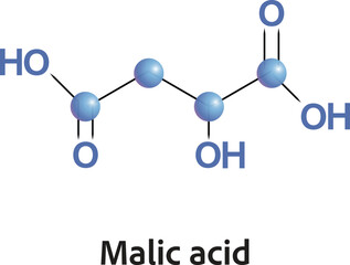 Malic acid is an organic compound with the molecular formula C4H6O5. Malate plays an important role in biochemistry, takes part in citric cycle - 649691425