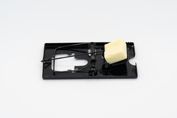 mouse trap with cheese and white background