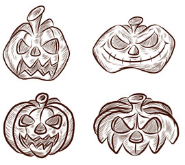 sketch  of Set pumpkin on white background. vector illustration