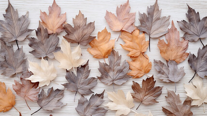 autumn leaves fallen on a wooden background soft color pastel frame