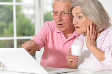 confused senior couple with laptop at home