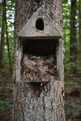 verlassene Vogelhaus im wald