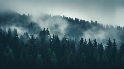 Rolgordijnen Pine forest in the valley on a foggy morning Fresh green atmosphere. Adventure outdoor nature mist fog clouds forest trees landscape background wild explore © ImaginaryInspiration