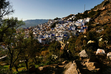 Fototapeta na wymiar Chefchaouen, la città azzurra del Marocco.