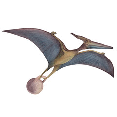 Pterodactyl with a kettlebell. Dinosaur athlete. Watercolor illustration isolated on a white background. Hand drawn