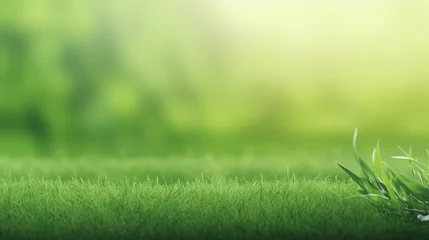 Tuinposter Weide Grass in fairway green background. Concept for advertising with copy space