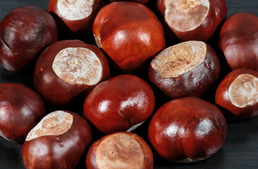  A group of Conkers.