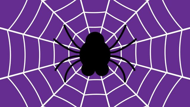 video of a spider on a web. animation of a cute blinking spider on a purple background