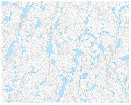 Topographic vector map with lake, river and isoline