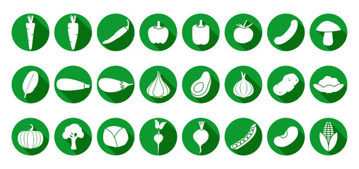 Green Vegetables Flat Round Icon Set of Parsey Root, Carrot, Chilli, Paprika, Pepper, Tomato, Cucumber, Mushroom, Spinach, Zucchini, Eggplant, Garlic, Onion, Potato, Tomato, Avocado, Cauliflower, Pump