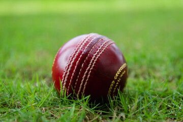 Red cherry - Cricket ball used for Test matches