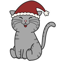 Christmas Santa Cat