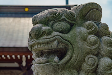 荒ぶる狛犬