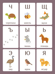 Cute vector Russian alphabet cards with animals, zoo alphabet, set of cute cartoon illustration - 649753224