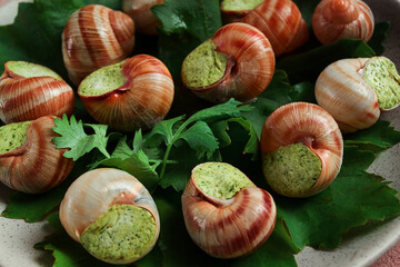 grape snails , stuffed in burgundy, french cuisine,