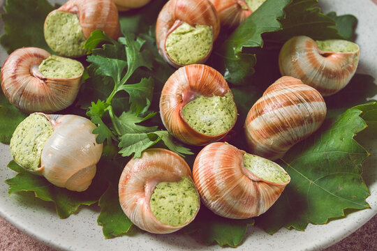 grape snails , stuffed in burgundy, french cuisine,