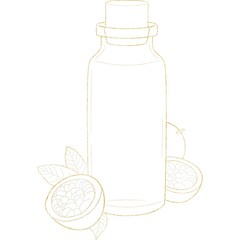 Gold Shining Paint Stain Hand Drawn Illustration brush stroke paint ornament decorate. Glass bottle with sweet  fruits and foliage