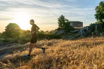 Middle-aged trail runner with gray hair sprinting through a golden field at sunset.