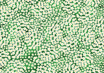 Vector background, floral pattern, dandelion, white, green wallpaper and green fields