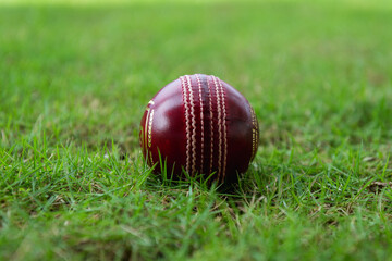 Red Cricket ball used in test cricket