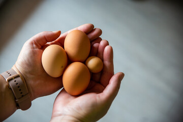 Homesteader woman holding homegrown free range eggs. Sustainable living and home-grown goods are making a reappearance due to increasing food prices.
