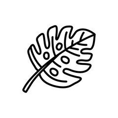 Hand draw of tropical monstera leaves. Monstera Deliciosa. Black contours isolated on a white background.