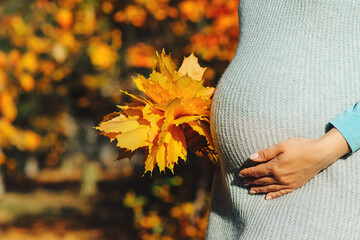 Pregnant woman's belly over autumn background. Pregnant woman in touching big belly with hands.
