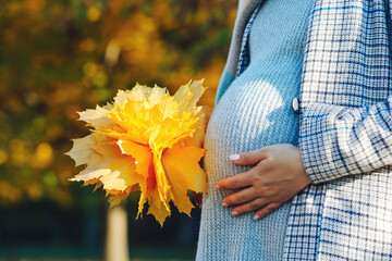Pregnant woman outdoors in autumn. Woman having happy pregnancy time. Pregnant woman's belly over autumn background.