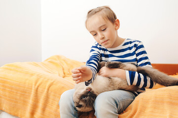 Cute boy plays with a cat at home. Happy kid hugging his cat.