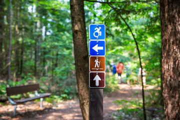 Wheelchair accessible sign on a walking trail in Wisconsin. Making nature more inclusive is a modern goal for many countries. - obrazy, fototapety, plakaty